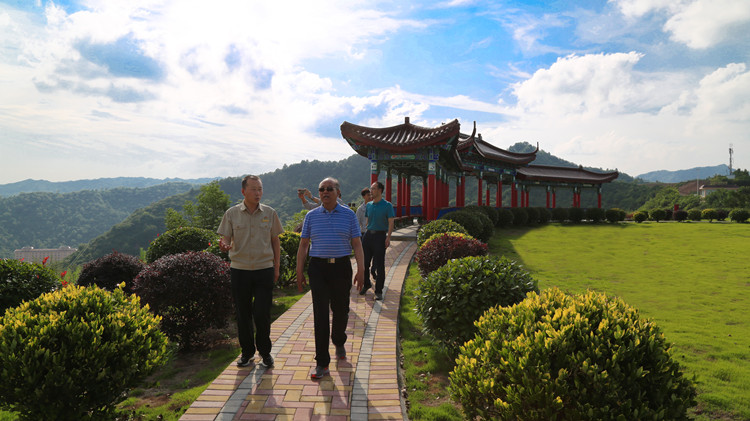 202007291596017758810976.jpg 5.jpg