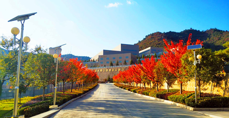 202108211629507113706581.jpg 3.jpg