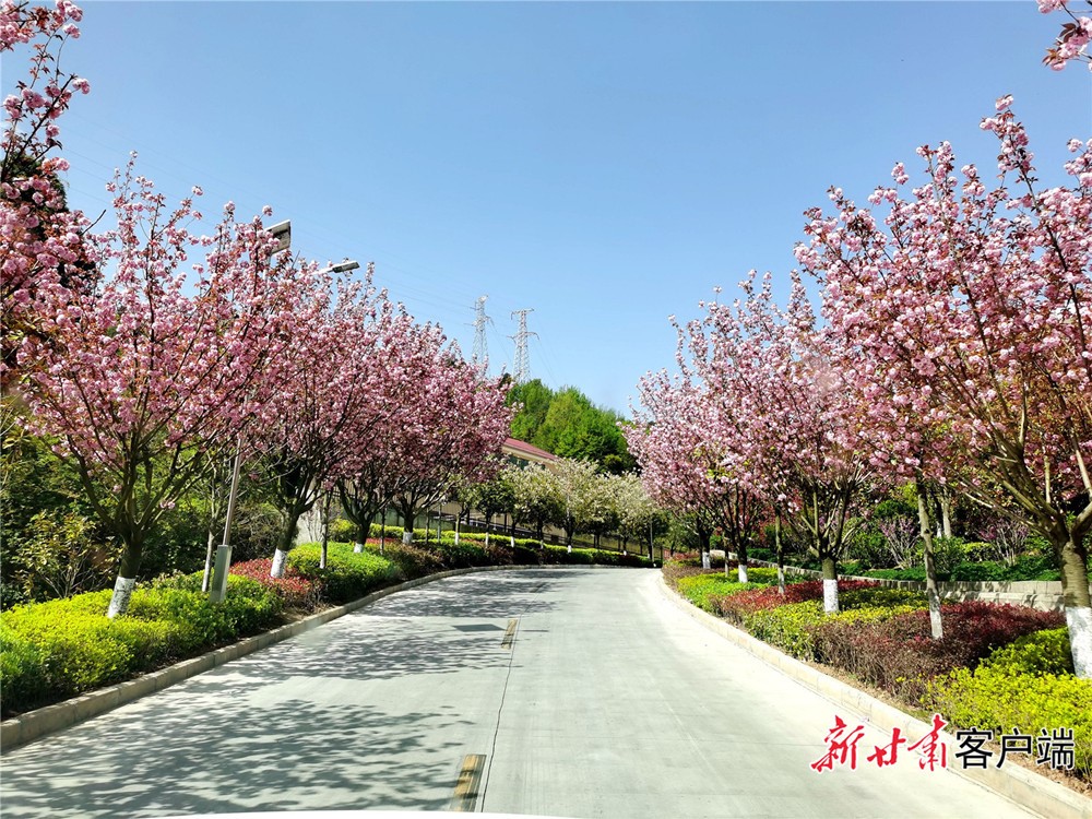 202305061683334176871508.jpg 14.jpg