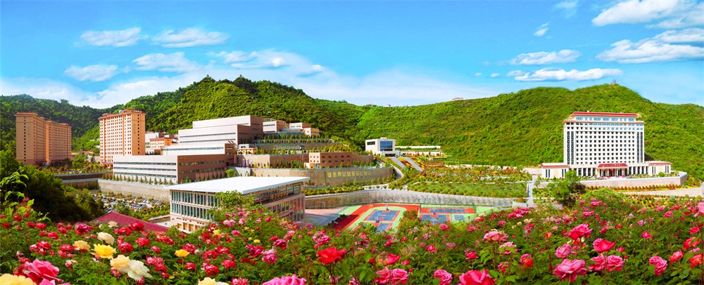 202404251714005107133654.jpg 三季有花、四季常青的金徽股份.jpg