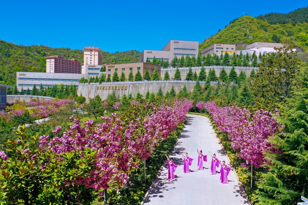 202504271745745826456946.jpg 微信圖片_20250427104708.jpg