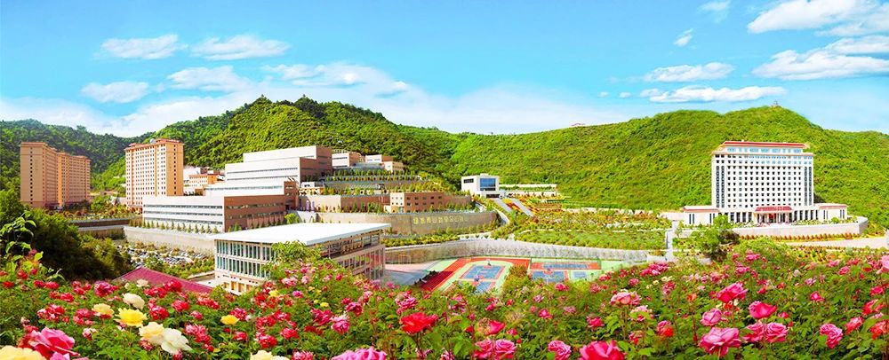 202508281756344989591811.jpg 4.jpg