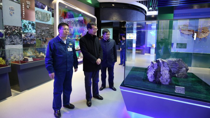 省委省政府新發展理念督查工作組一行蒞臨金徽股份督查調研項目建設工作